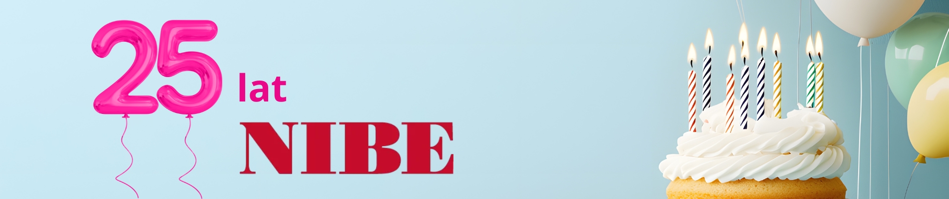  25_lat_termeco_26.01