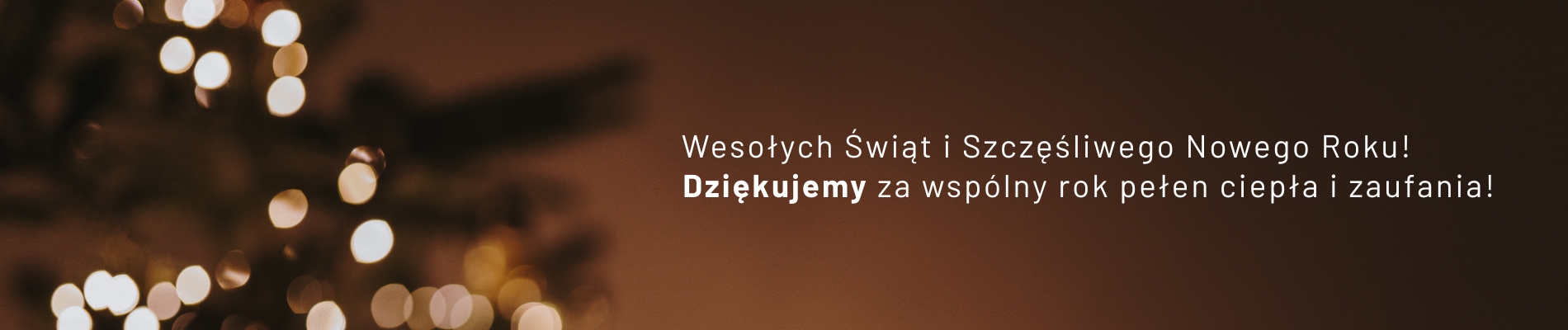 termeco_swieta_baner