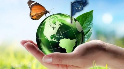 Co z zakazem używania pieców gazowych postulowanym przez KE?