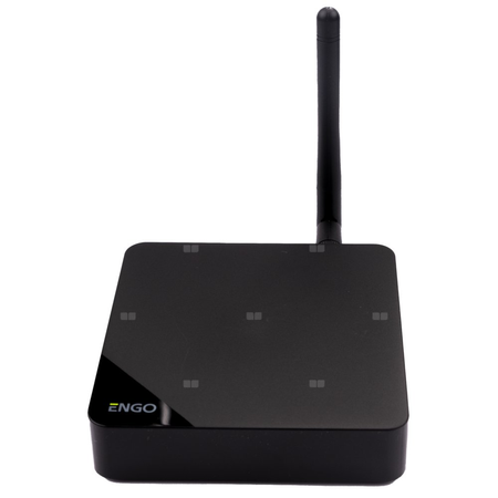 Bramka internetowa ZigBee, wersja PRO do urządzeń serii ENGO Smart