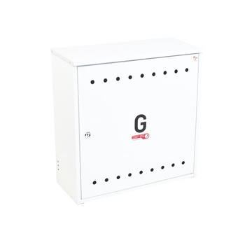 Skrzynka gazowa 600x600x250 naścienna, stalowa, ze skośnym daszkiem,RAL 9003 biała