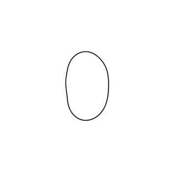 Oring FKM 221.84x3.53