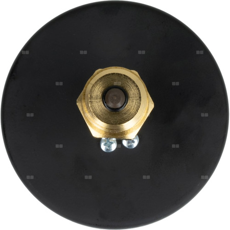 Manometr AFRISO TM aksjalne 1/4'' fi 80 mm, 0 - 6 bar, 20 - 120'C