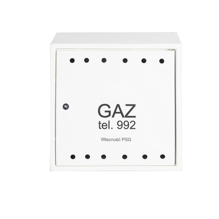 Punkt redukcyjno-pomiarowy na 2 gazomierze G4, w skrzynce z laminatu 600x600x250 - popielaty