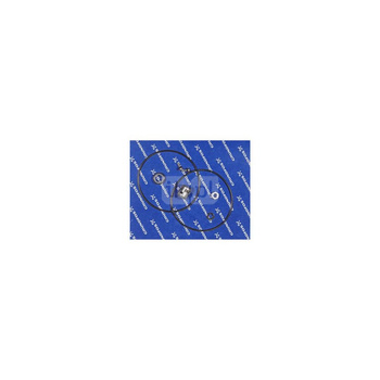 Uszcz. wału AP 35B/50B BQQV 50/60Hz