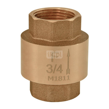 Zawór zwrotny FERRO z elementem zamykającym z tworzywa 2 1/2'' GW PN 10 max. 100'C