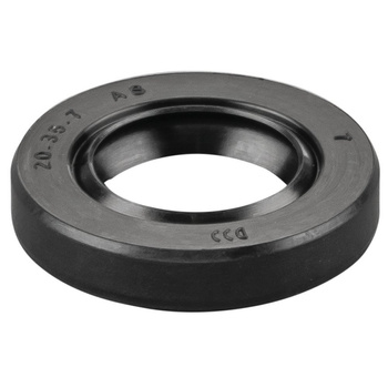 Pierścień uszczelniający wału