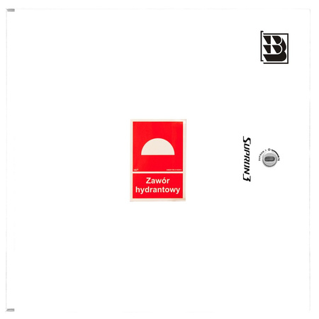 Dwa zawory hydrantowe typ ZH-52 wraz z obudową. Szafka ochronna 550. Szafka zawieszana, Znak B, zamek OTS, kolor RAL 9003