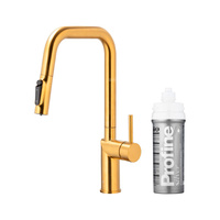 DUERO PURE STYLE PULL-OUT BATERIA KUCHENNA Z FUNKCJĄ FILTRACJI WODY I WYCIĄGANĄ WYLEWKĄ, BRUSHED GOLD + ZESTAW FILTRUJĄCY PROFINE SILVER S