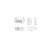 Jednostopniowa pompa monoblokowa z wlotem osiowym NB 50-200/219AAF2AESBQQEQW1
