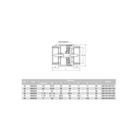 Zawór zwrotny VALVEX Tiger Plus 1 1/2'' GW PN 10 max. 120'C