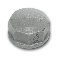 Zaślepka żeliwo SANHA 300# (ocynk galwaniczny/elektrolityczny) 1'' GW