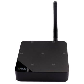 Bramka internetowa ZigBee, wersja PRO do urządzeń serii ENGO Smart