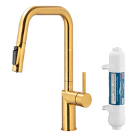 DUERO PURE STYLE PULL-OUT Bateria kuchenna z funkcją filtracji wody i wyciąganą wylewką, Brushed gold + Filtr HYDRO+