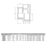 Złączka nakrętno-wkrętna redukcyjna śrutowana VALVEX TWIST, 3/4'' x 1 (GW x GZ)