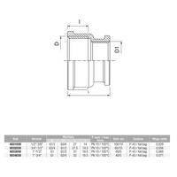 Złączka nakrętna redukcyjna śrutowana VALVEX Twist, 1'' x 1/2'' (GW x GZ)
