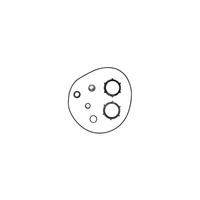 Uszcz. wału BBVP HS200-150-508/483X6