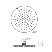 DIONE Głowica prysznicowa fi250x2 mm chrom.