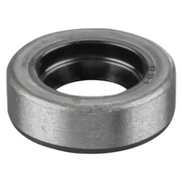 Pierścień uszczelniający wału