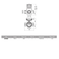 TERMOCONTROL Zawór termostatyczny 4-drogowy