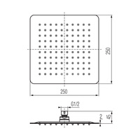 CARRE Głowica prysznicowa 200x200x2 mm chrom.