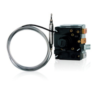 Termostat bezpieczeństwa – STB