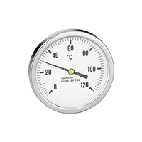Termometr, przyłącze środkowe, tylne 100 mm 0-120  st. C